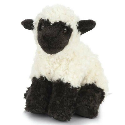 black sheep teddy