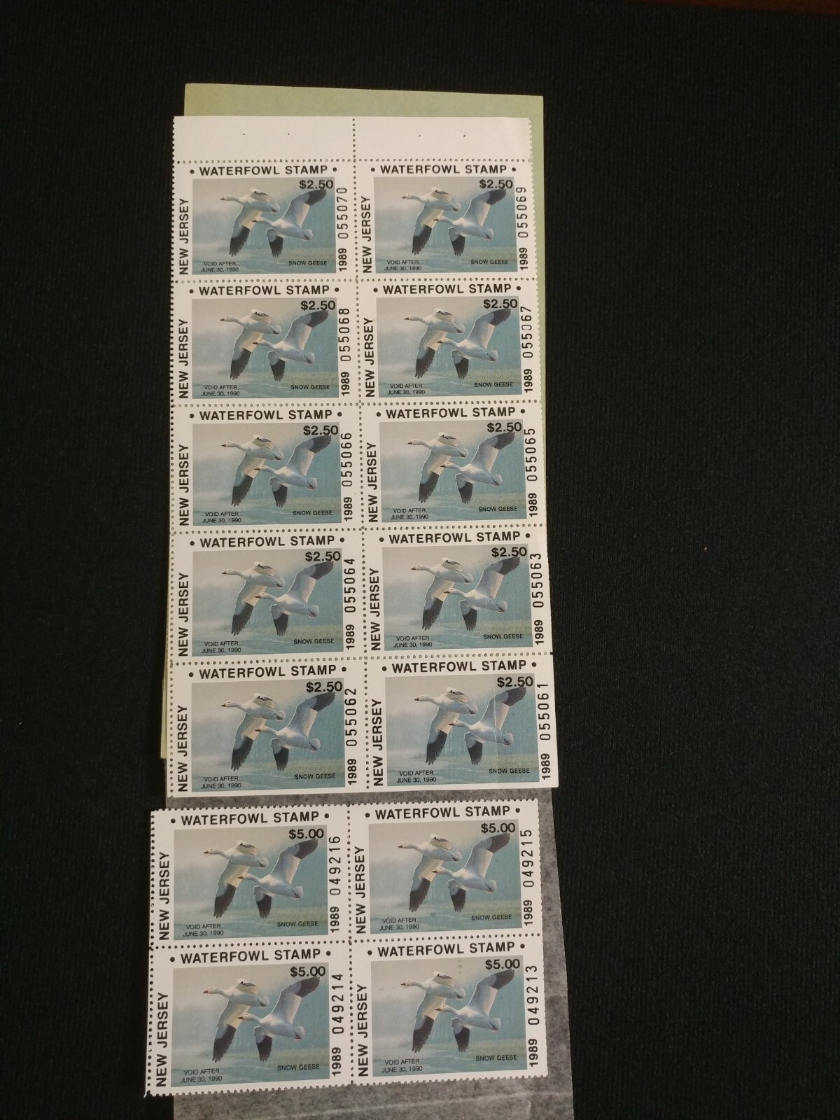 Picture 4 of 7
