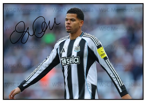 12006. William Osula Signed Pictures (A4 Prints) Newcastle Sheff United Derby
