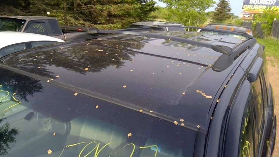 (LOCAL PICKUP ONLY) Windshield Glass Excluding Denali Fits 02-07 ENVOY 4257399 - Image 4 of 4