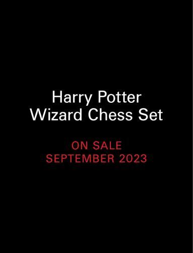 Harry Potter Wizard Chess Set by Donald Lemke - - Image 5