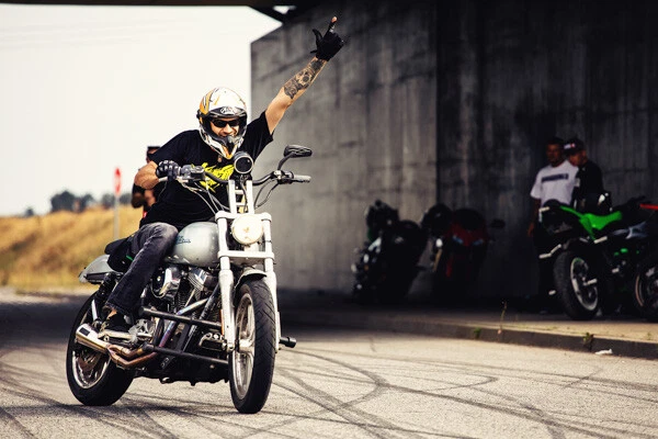 Harley Davidson Dyna (todos los modelos) HD Kit Estabilizador Motor Delantero Marco Foto 2 de 4