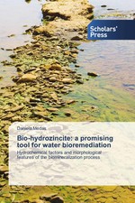 Daniela Medas | Bio-hydrozincite: a promising...