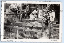 Feinkost Kolonialwaren Laden Geschäft Auslage Regale - Beruf Arbeit - Foto 9x6cm