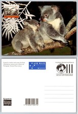 Australia Postcard Koalas Mother & Joey Pre-Paid Air Mail Unposted