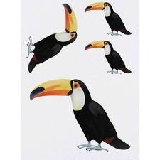 4 x 'Toucan' Temporary Tattoos / Transfers TO00015829 