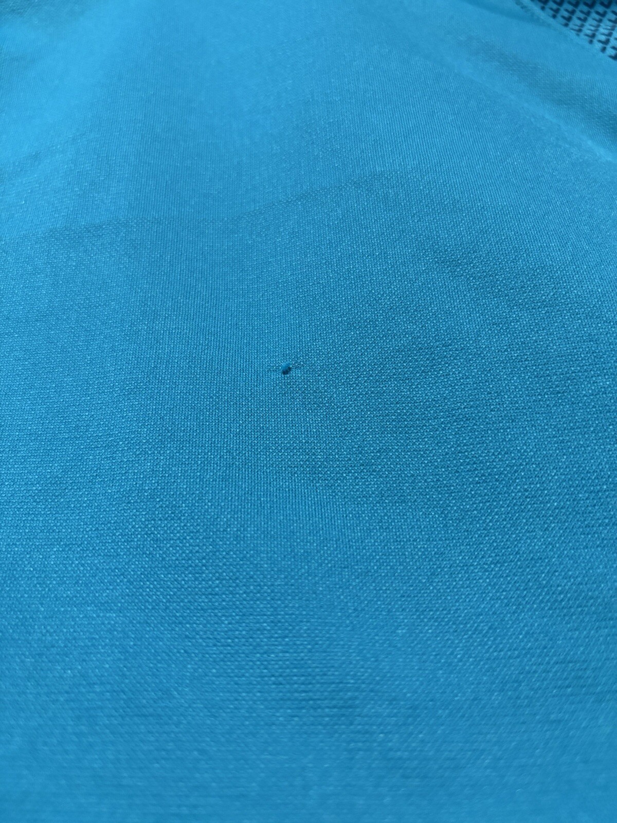Picture 12 of 12