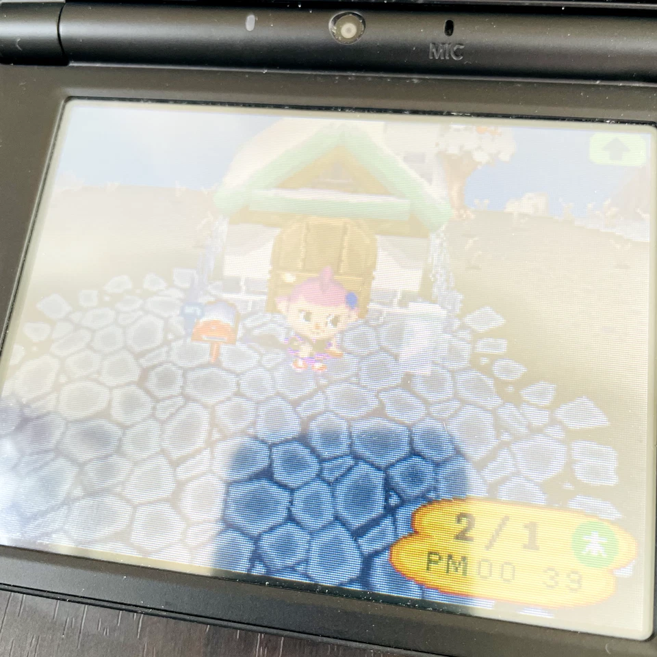 Oideyo Doubutsu no Mori Nintendo DS 2005 Animal Crossing Japanese Version Retro - Image 4 of 4