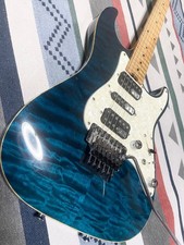 Schecter EX-22-CTM-FRT E-Gitarre Tiger Heather Quilt Maple gebraucht