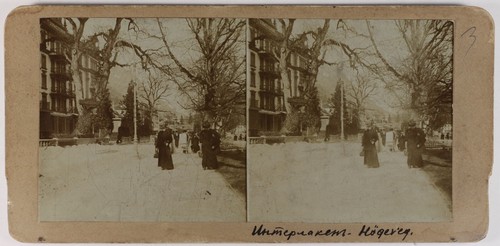 Photo Ancienne De Femme, Modèle C.1900 - Tirage Vintage, Neuve