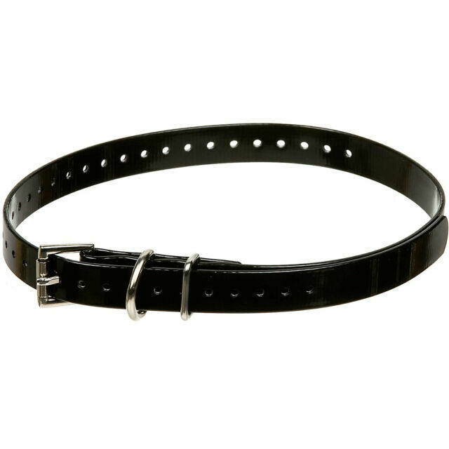 sportdog replacement collar strap