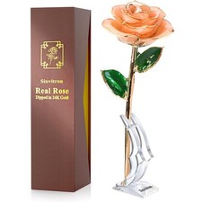 Gold Dipped Infinity Rose Forever Flower Decor, Resin Preserved Real Rose Bir...