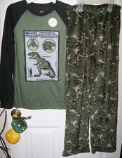 Glow In Dark Dinosaur Green 2 Piece Flame Resistant Pajama PJ Boys Size 8 NWT