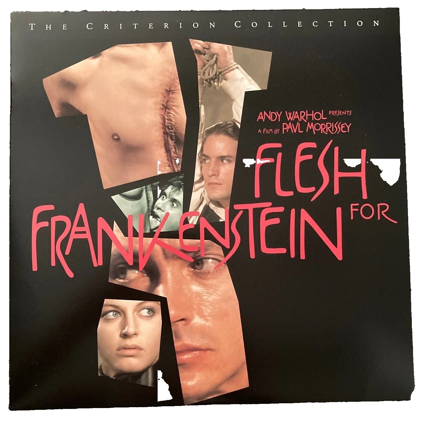 Edición Criterion discos de película de Paul