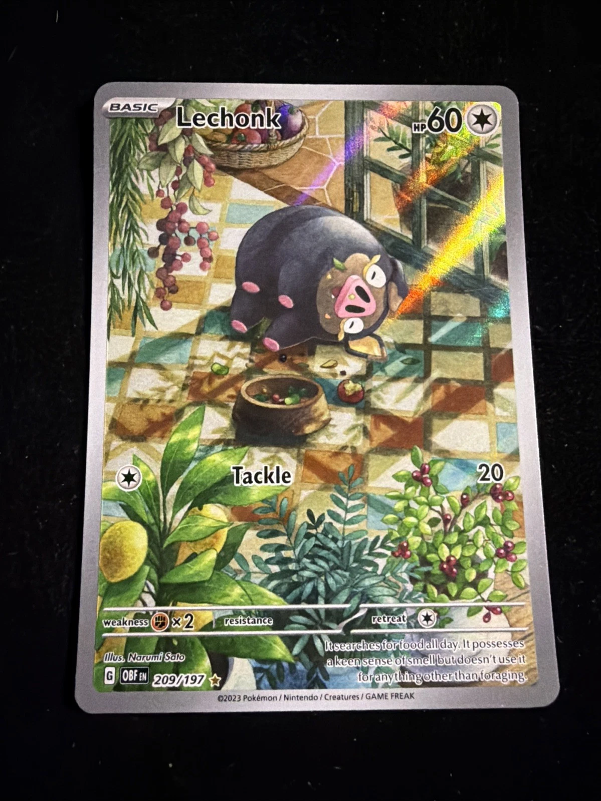 Lechonk 209/197 SV03: Obsidian Flames Holo