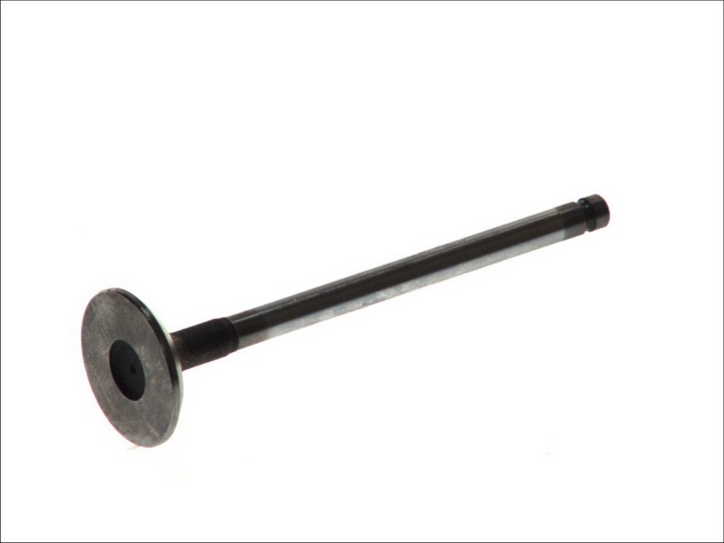 Fits FRECCIA 6282/SCR Intake Valve 6282/SCR Intake valve (32x7x113,4) fits: RVI