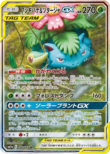 ポケモンカードゲーム BLASTOISE & PIPLUP GX PSA10 Blastoise & Piplup GX (Alternate Full Art) 215/236 Sm-Cosmic