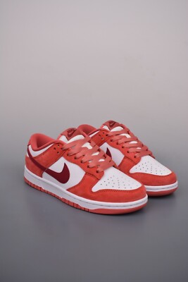 NIKE SB Dunk Low  FQ7056-100