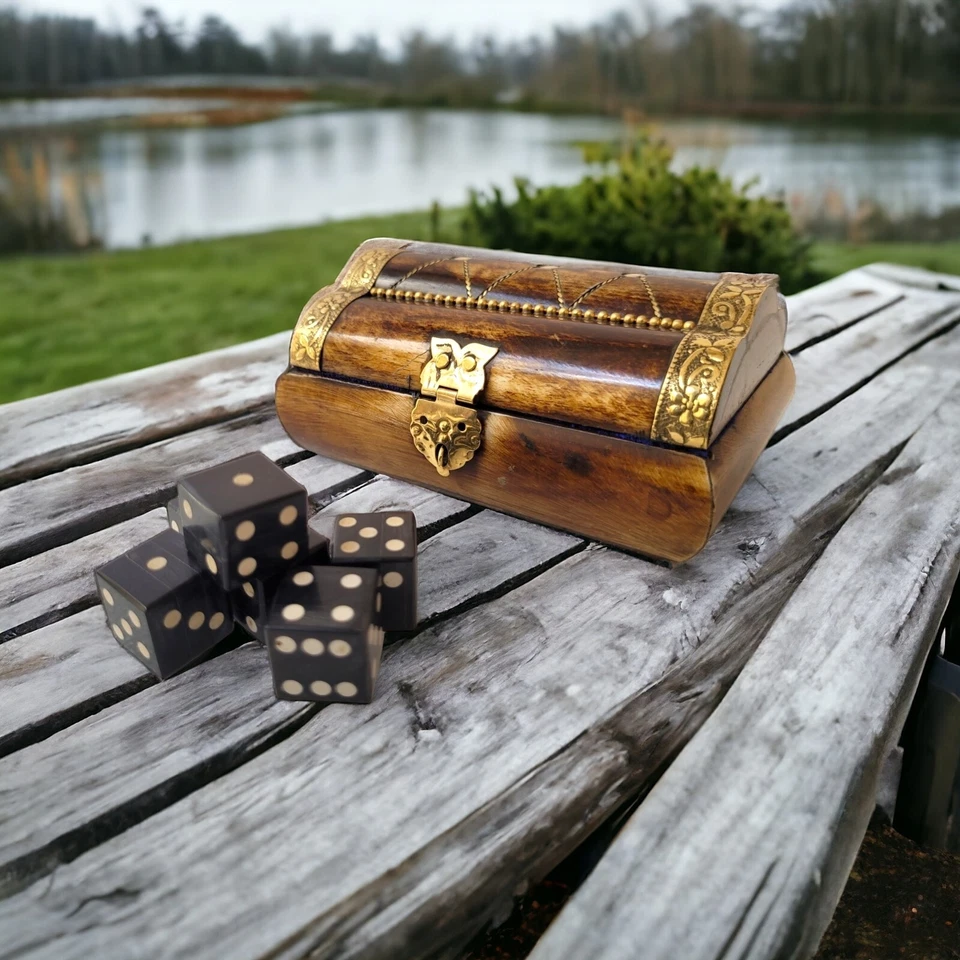 Juego de 6 dados Buffalo Horn Ludo D6 16 mm cuadrados en una caja de huesos con trabajo de latón Foto 3 de 4