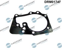 Dr.Motor Automotive DRM01747 Dichtung, Wasserpumpe For Dacia Nissan Renault