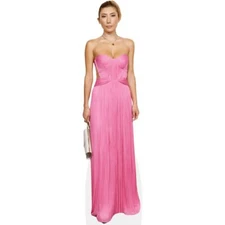 Dichen Lachman (Pink) Life Size Cutout