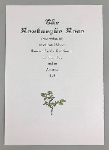 2000 The Roxburghe Rose Zamorano Ano Nuevo Island Press Marianne Hinckle print - Picture 2 of 6