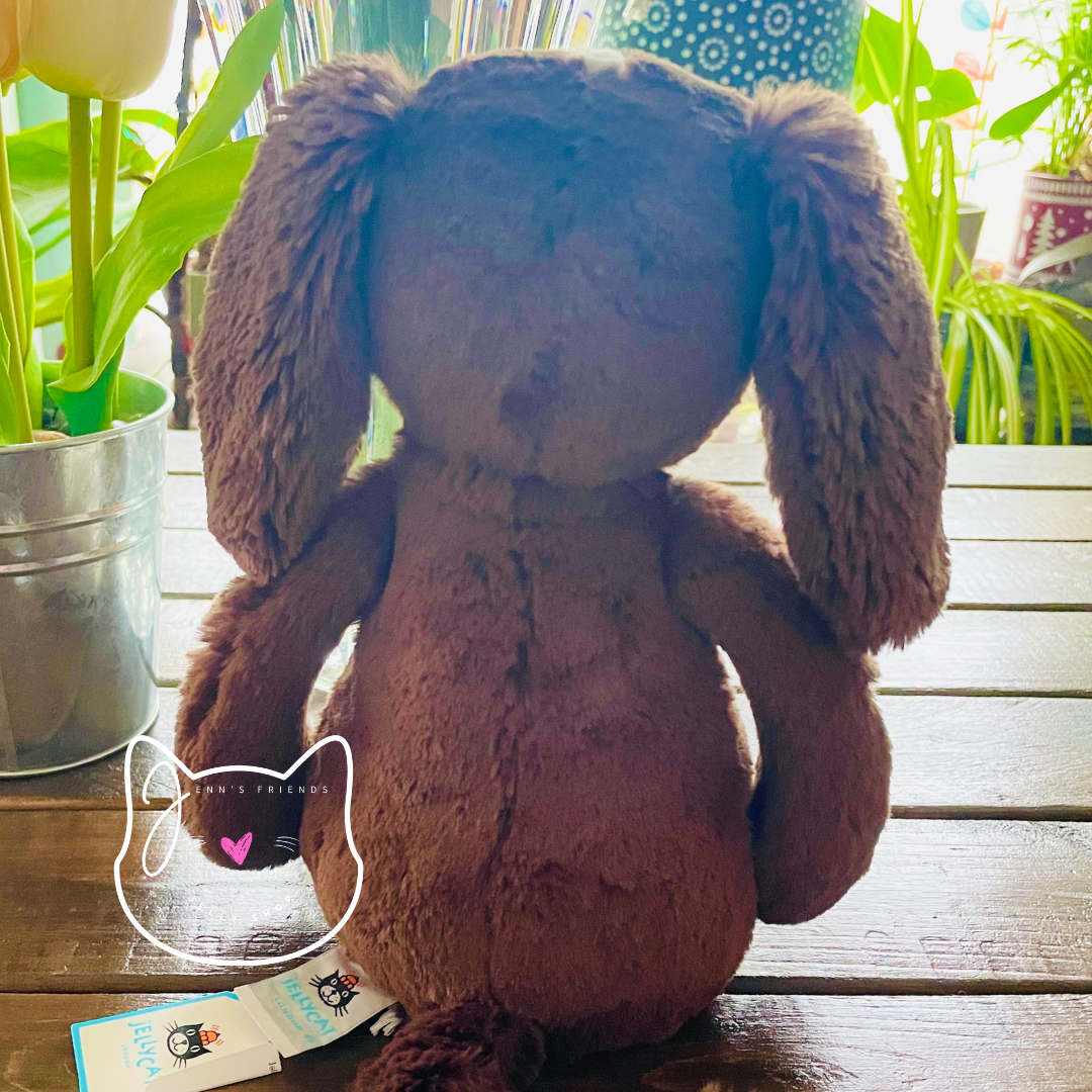 AUTHENTIC Jellycat ORIGINAL BASHFUL FUDGE PUPPY New BNWT Medium