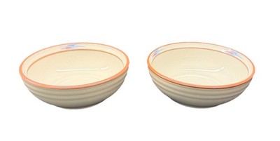 Noritake Stoneware RAINDANCE 8675 6 1/2'' Soup Cereal Bowl Set of 2