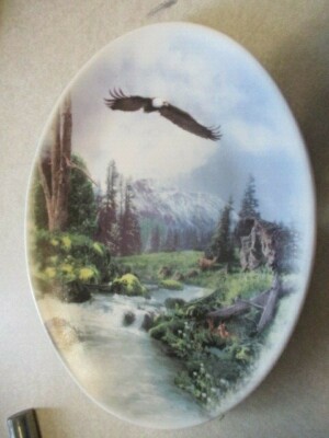A collector plate no maker or info on it mountains Eagle Deer stream very good