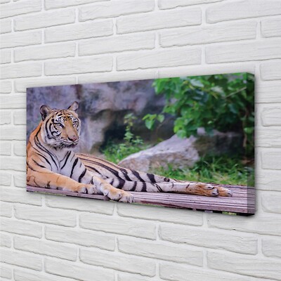 Tulup Leinwandbild 100x50 Wandkunst Tiger in einem Zoo