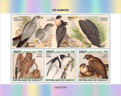 BIRDS OF PREY Bird/Birds MNH 3v-Stamp Sheet #2267 (2022 Djibouti) | eBay
