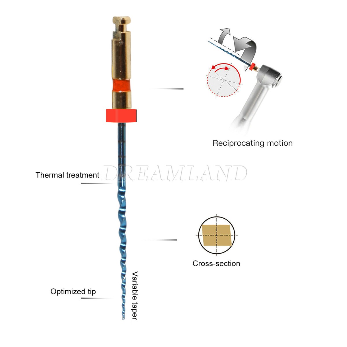 5 Lime Endo AZDENT Per Laboratorio 5 Lime Endodontiche Dentali SX F3 25mm Niti Attivate A Calore N 532947 - Foto 2