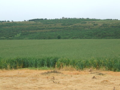 Foto 6x4 Blick zur Jägerhütte auf Mormond Hill Strichen Link zu diversen c2007