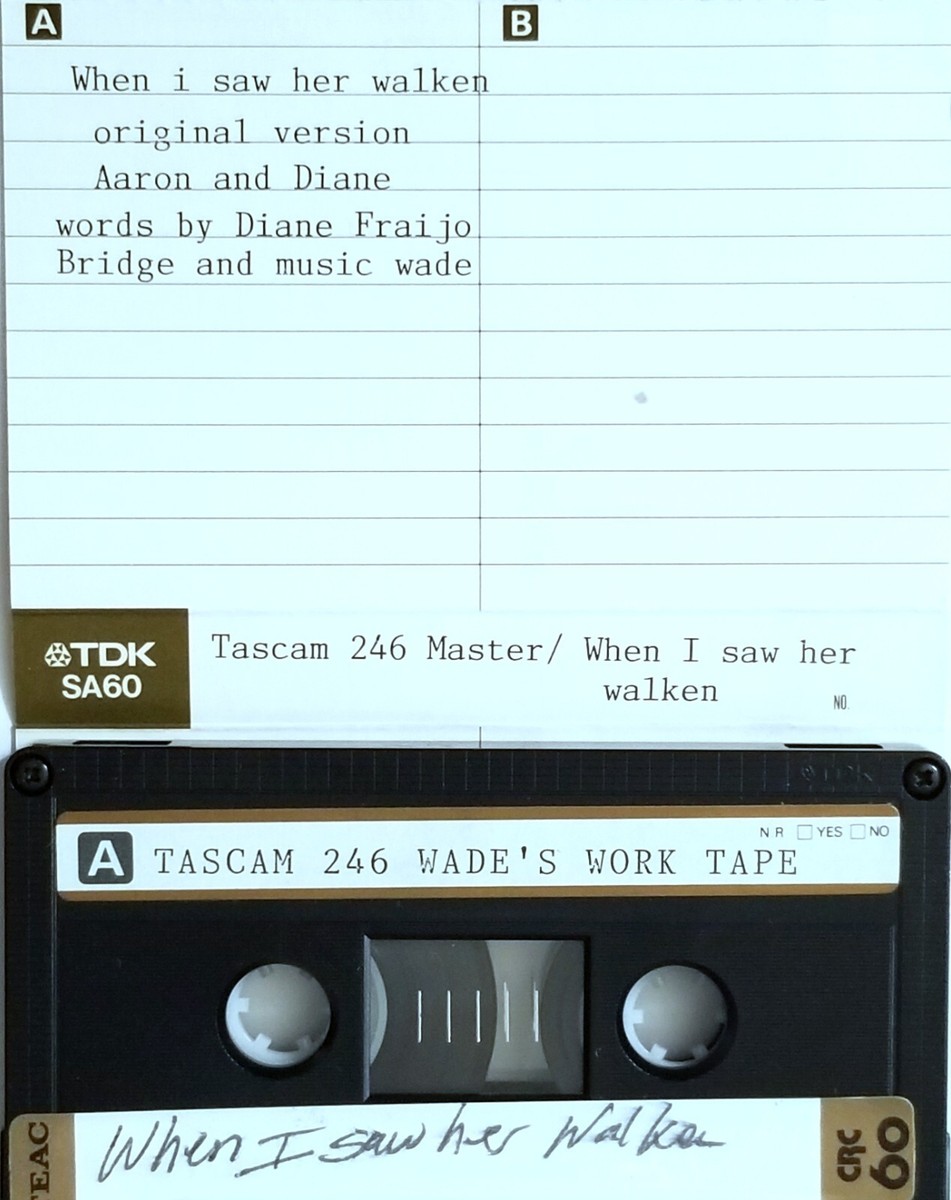 【THE END OF YOUR GENERATION】VA Cassette WHEN I SAW HER WALKEN 80S SYNTH POP DEMO TAPE STUDIO NEW