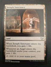 Seraph Sanctuary Duel Decks: Blessed vs. Cursed MTG Regular Lightly Played