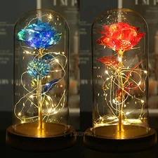 Christmas Rose Gift for Lover Mom Girlfriend Wife Valentines Birthday Presents