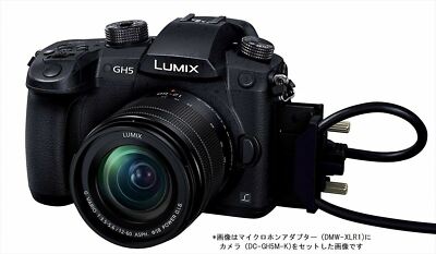 Panasonic Microphone Adapter Lumix DMW-XLR1 XLR from JAPAN | eBay