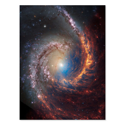 James Webb Blick auf die Spiralgalaxie NGC 1566 Wohnzimmer großer Druck 46x61 cm