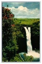 Hilo, HI Hawaii, Rainbow Falls framed by African Tulip Trees, Chrome Postcard 