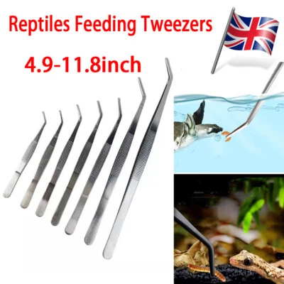 5-12” Long Tweezers Forceps Reptiles Feeding Tongs Fish Tank Tools Stainless UK