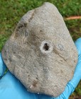 Geode in Host Rock Arthropod Sea Fossil Coquina Jasper Agate Specimen