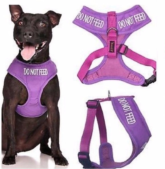 DO NOT FEED Dog Puppy Warning Awareness Harnesses Leads Collars Coats