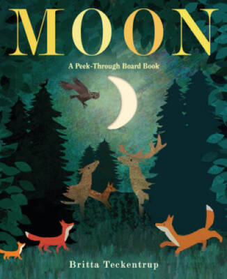 Moon: A Peek-Through Board Book - Board book By Teckentrup, Britta - GOOD