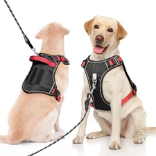 No Pull Dog Harness, Adjustable Harnesses for Small Dog, No Choke Soft Padded...