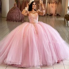 Pink Long Sleeve Floral Quinceanera Dresses Illusion Neck Tulle BallGown Sweet16