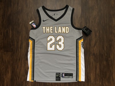 lebron james land of basketball