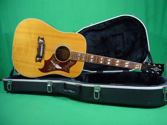 Alvarez 5024 Dove /  1977 Excellent