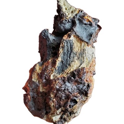 Lunar Meteorite, fresh fall~eyewitness!