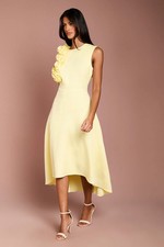 Coast Lemon Midi Dress Womens Occasion Dresses