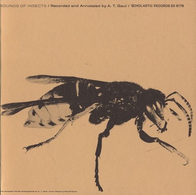 Various Artists - Sounds of Insects / Various [New CD]